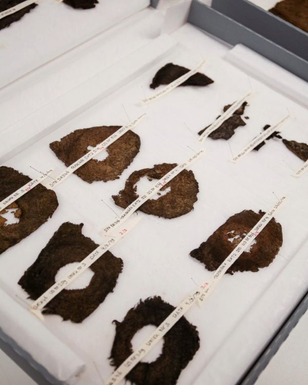 Visite au laboratoire d'archéologie. © urban.brussels