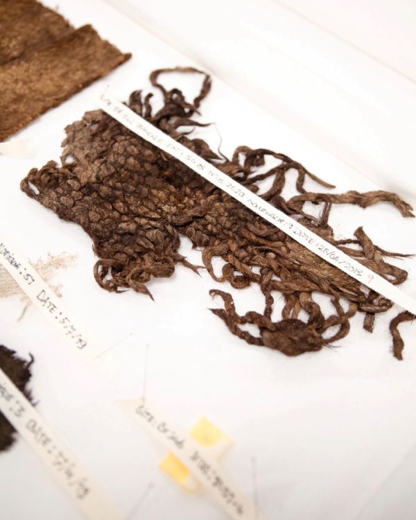 Visite au laboratoire d'archéologie. © urban.brussels