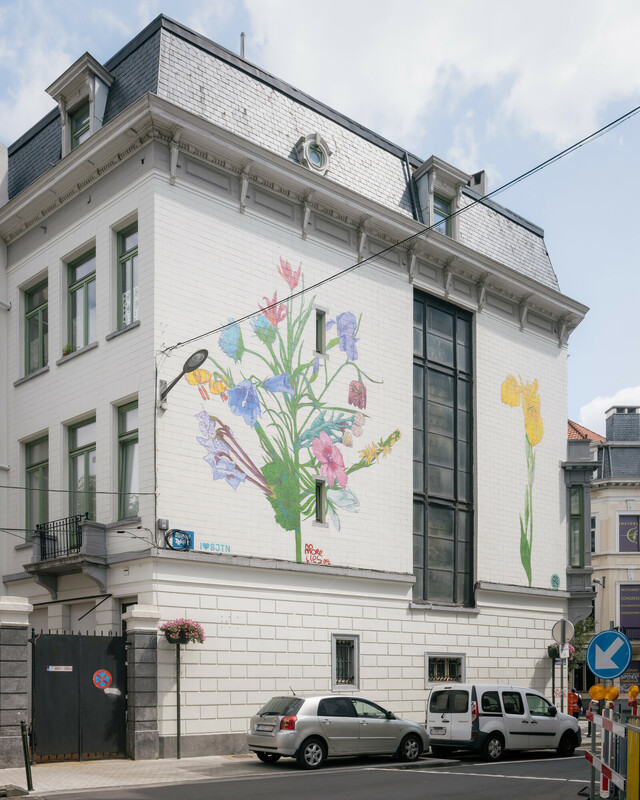 L’œuvre « Flora Balcanica »