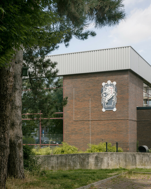 L’œuvre « pHenomeen »