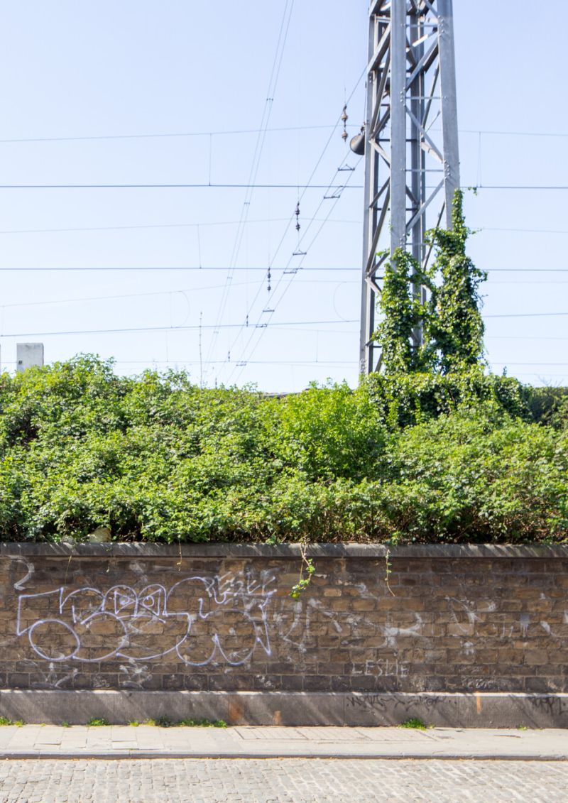 Spoorwegtalud in Schaarbeek