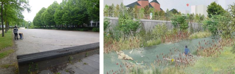 Projet Max Sur Zenne