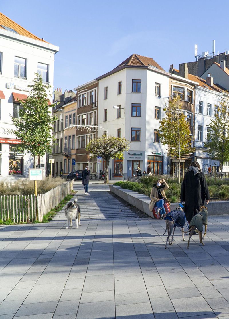 Straat en huizen